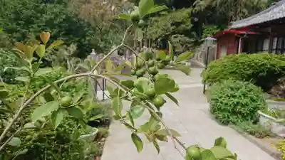 隠了寺のその他建物