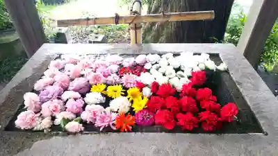 糀谷八幡宮の手水舎