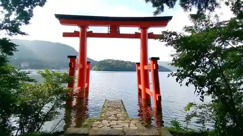 箱根神社の鳥居