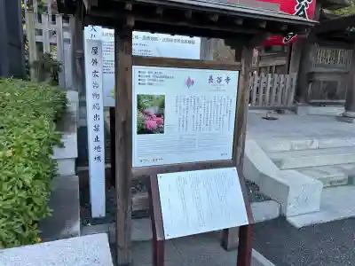 長谷寺の歴史