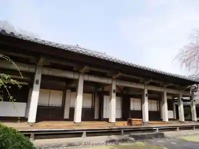 天王寺の本殿・本堂