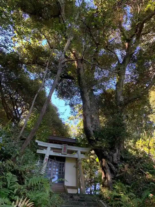 八幡神社(千葉県)