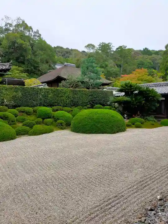 酬恩庵一休寺(京都府)