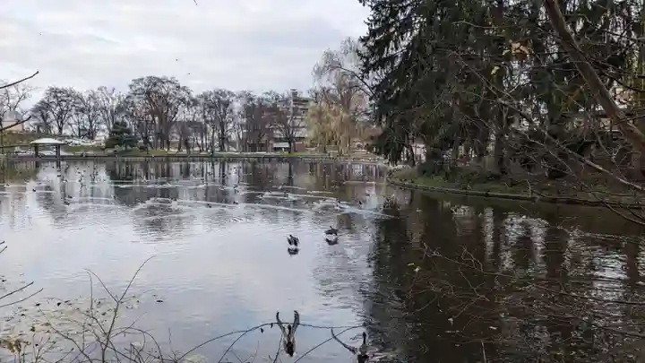 上川神社頓宮の動物