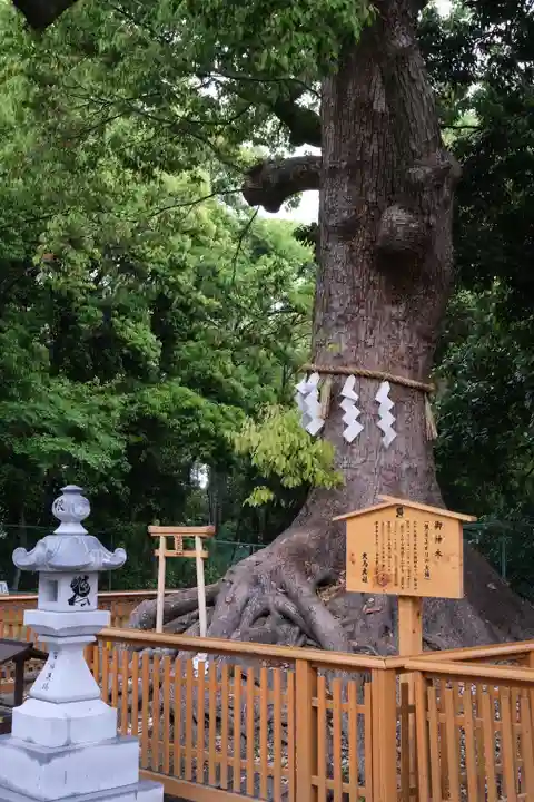 和泉國一之宮 大鳥大社の自然