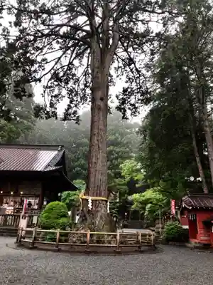 諏訪神社（北口本宮冨士浅間神社摂社）(山梨県)