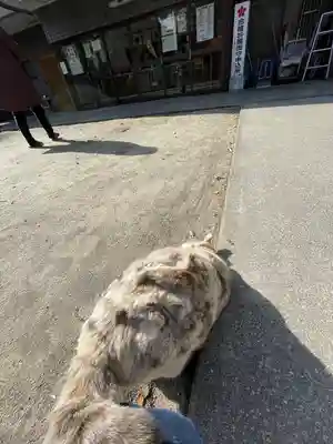 松山神社(大阪府)