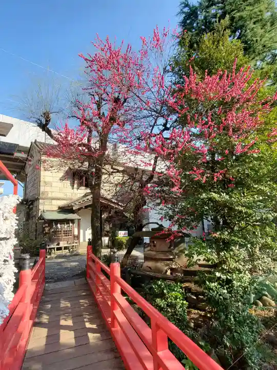 今泉八坂神社(栃木県)