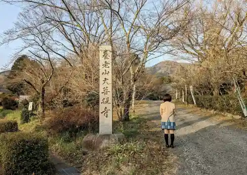 大菩提寺の山門