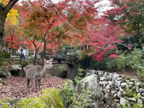 大聖院(広島県)