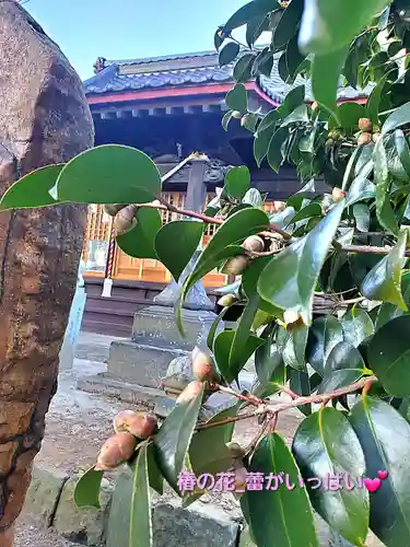 晴門田神社(福島県)