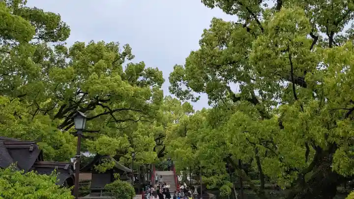 太宰府天満宮の景色