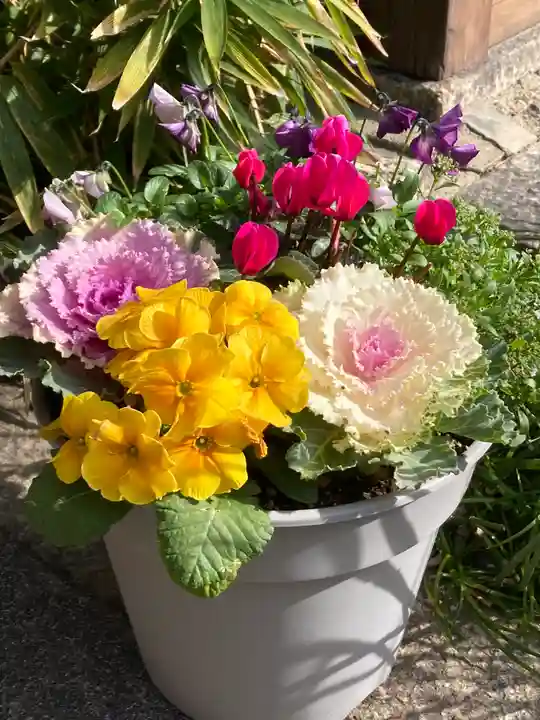 福田寺(京都府)