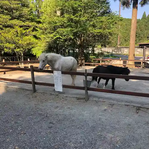 丹生川上神社（下社）(奈良県)