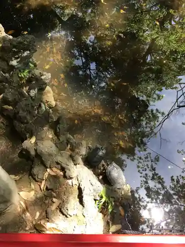 世田谷八幡宮の庭園