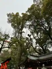 杭全神社(大阪府)