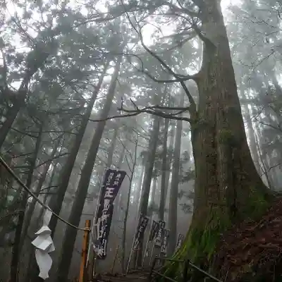 玉置神社のその他建物
