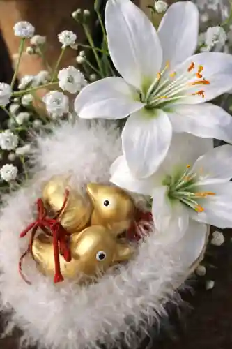 川越熊野神社の{uncategorized: "未分類", other: "その他", undefined: "問題あり", building: "その他建物", grave: "お墓", sacred_gate: "鳥居", guardian: "狛犬", statue: "像", buddha: "仏像", history: "歴史", nature: "自然", garden: "庭園", animal: "動物", pagoda: "塔", temizu: "手水舎", mountain_gate: "山門・神門", sanctuary: "本殿・本堂", subordinate: "末社・摂社", art: "芸術", scenery: "景色", jizo: "地蔵", ema: "絵馬", goshuin: "御朱印", omikuji: "おみくじ", items: "授与品その他", amulet: "お守り", goshuincho: "御朱印帳", eats: "食事", festival: "お祭り", votive_dance: "神楽", shichigosan: "七五三参", wedding: "結婚式", experience: "体験その他", initially: "初詣", around: "周辺", anti_infection: "感染症対策"}