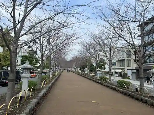 鶴岡八幡宮の景色