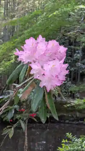 圓光寺(京都府)