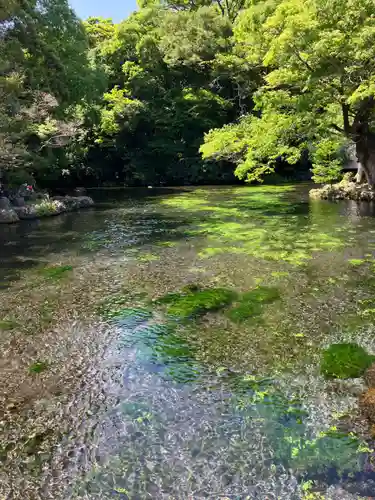 富士山本宮浅間大社(静岡県)