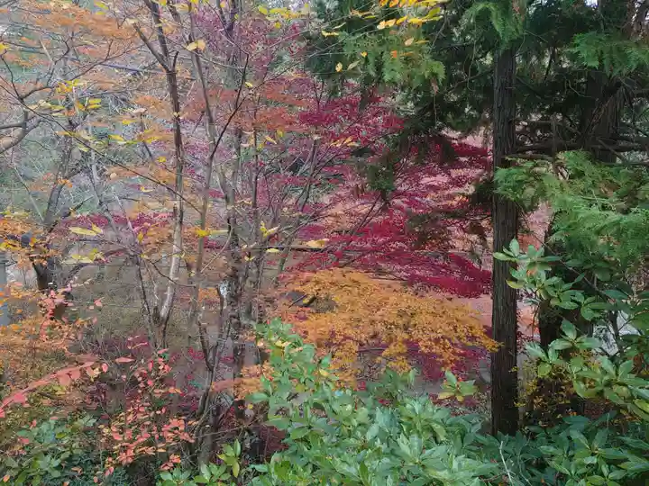 唐澤山神社の自然