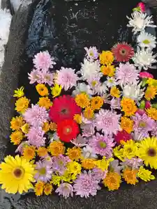 大鏑神社の手水舎 2023年02月15日(水)〜(2023年02月12日(日) 10時35分02秒投稿)