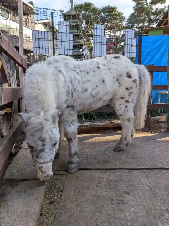 五方山熊野神社(東京都)