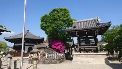 観音寺のその他建物