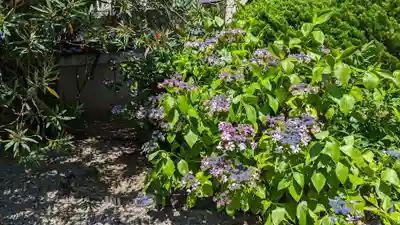 上宮王院聖徳寺(京都府)