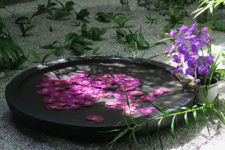 西来院(京都府)