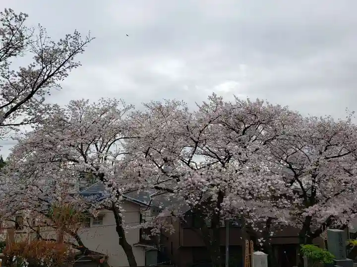 東光寺(東京都)
