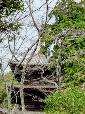 園城寺（三井寺）(滋賀県)