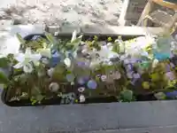 西宮八幡宮(山口県)