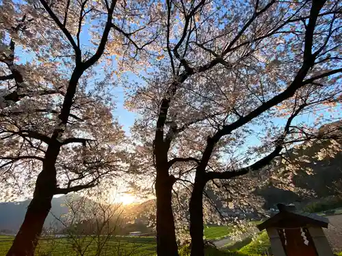 天神宮(伝河原氏屋敷跡)の自然