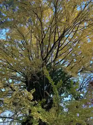鞆江神社(明地)(愛知県)