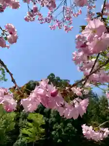 滑川神社 - 仕事と子どもの守り神(福島県)(2025年04月17日(木) 16時44分16秒投稿)