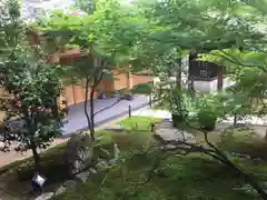 勝林寺の庭園