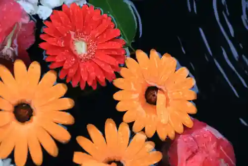 大鏑神社の手水