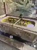 廣八幡宮の手水舎