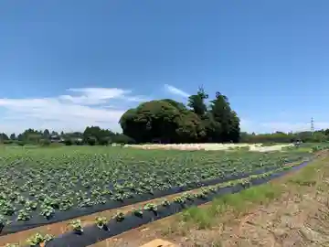 八幡神社(千葉県)