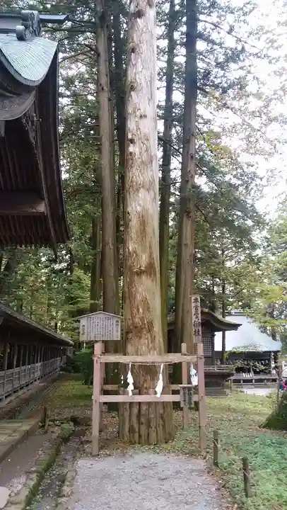 諏訪大社(長野県)