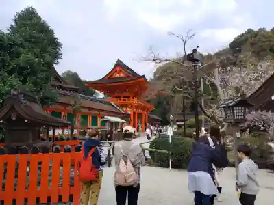 賀茂別雷神社（上賀茂神社）の{uncategorized: "未分類", other: "その他", undefined: "問題あり", building: "その他建物", grave: "お墓", sacred_gate: "鳥居", guardian: "狛犬", statue: "像", buddha: "仏像", history: "歴史", nature: "自然", garden: "庭園", animal: "動物", pagoda: "塔", temizu: "手水舎", mountain_gate: "山門・神門", sanctuary: "本殿・本堂", subordinate: "末社・摂社", art: "芸術", scenery: "景色", jizo: "地蔵", ema: "絵馬", goshuin: "御朱印", omikuji: "おみくじ", items: "授与品その他", amulet: "お守り", goshuincho: "御朱印帳", eats: "食事", festival: "お祭り", votive_dance: "神楽", shichigosan: "七五三参", wedding: "結婚式", experience: "体験その他", initially: "初詣", around: "周辺", anti_infection: "感染症対策"}