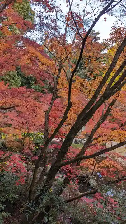 長岡天満宮(京都府)