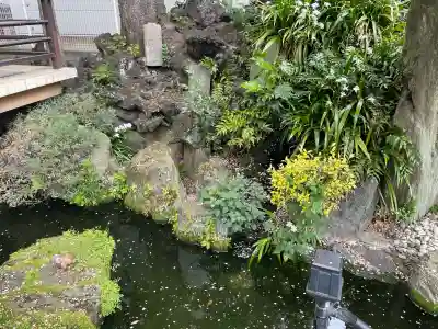 東光寺別院桜ヶ池不動院の{uncategorized: "未分類", other: "その他", undefined: "問題あり", building: "その他建物", grave: "お墓", sacred_gate: "鳥居", guardian: "狛犬", statue: "像", buddha: "仏像", history: "歴史", nature: "自然", garden: "庭園", animal: "動物", pagoda: "塔", temizu: "手水舎", mountain_gate: "山門・神門", sanctuary: "本殿・本堂", subordinate: "末社・摂社", art: "芸術", scenery: "景色", jizo: "地蔵", ema: "絵馬", goshuin: "御朱印", omikuji: "おみくじ", items: "授与品その他", amulet: "お守り", goshuincho: "御朱印帳", eats: "食事", festival: "お祭り", votive_dance: "神楽", shichigosan: "七五三参", wedding: "結婚式", experience: "体験その他", initially: "初詣", around: "周辺", anti_infection: "感染症対策"}