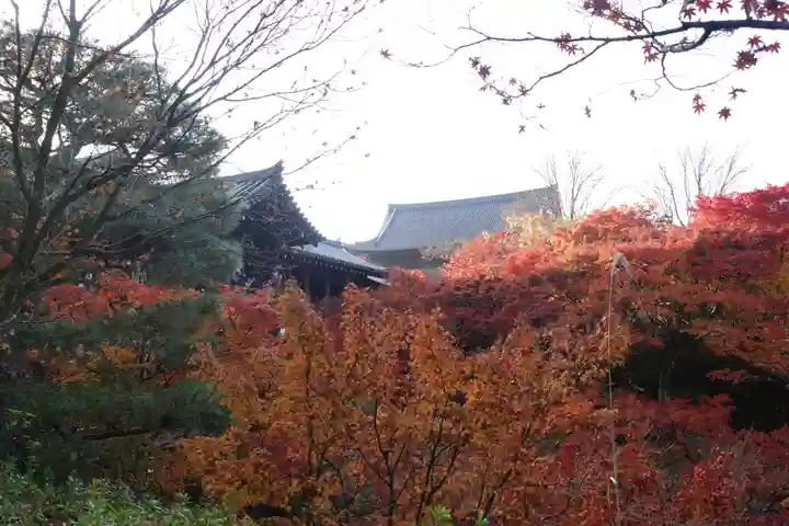 東福禅寺(東福寺)(京都府)