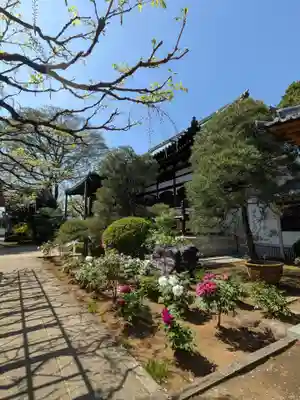 愛染院(東京都)
