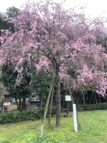 橿森神社(岐阜県)
