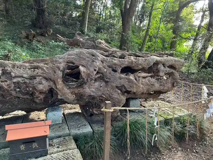 泉神社(茨城県)