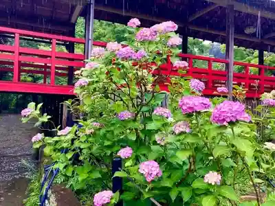 本土寺(千葉県)